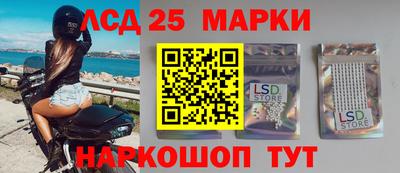 гашик Донской