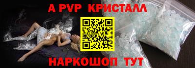 гашик Донской