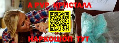 гашик Донской