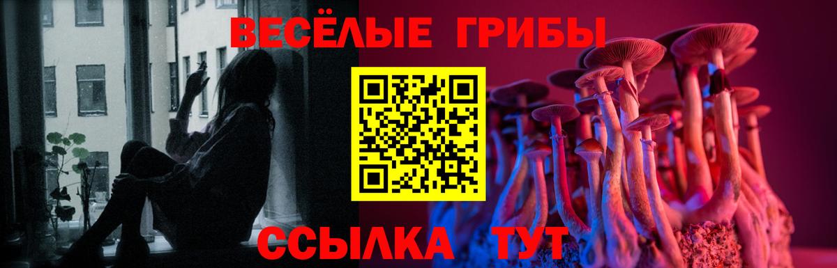 Псилоцибиновые грибы Cubensis Дятьково